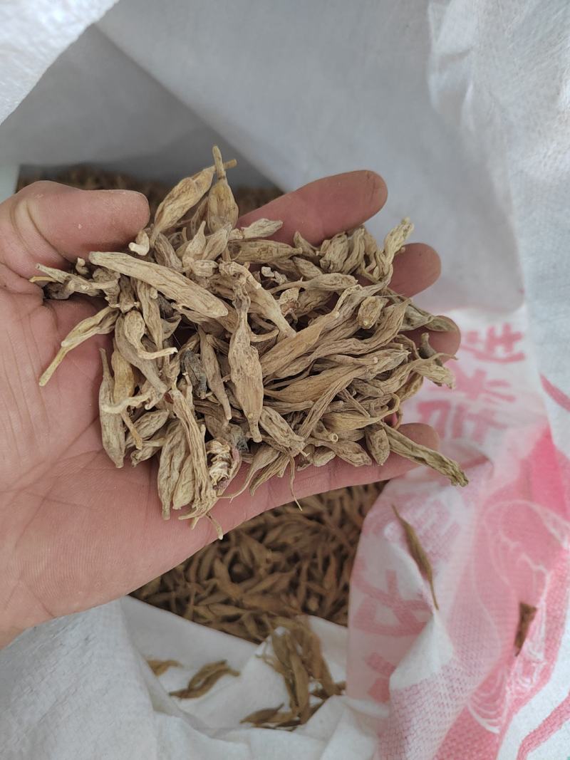 麦冬