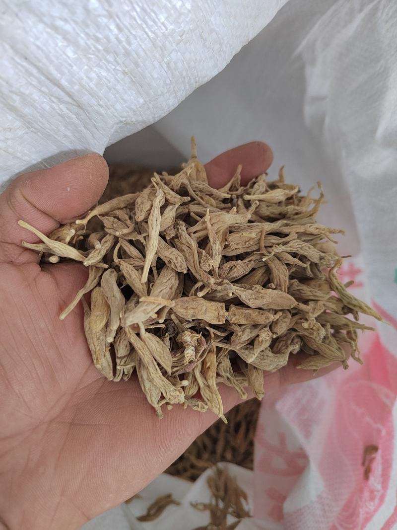 麦冬