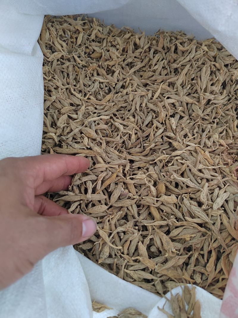 麦冬