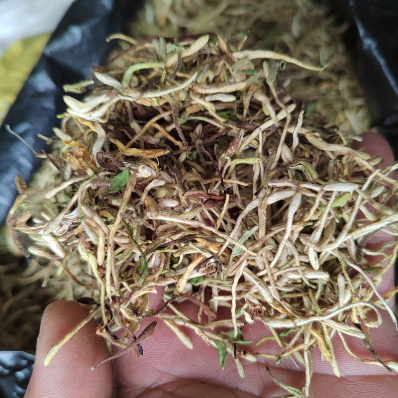 金银花