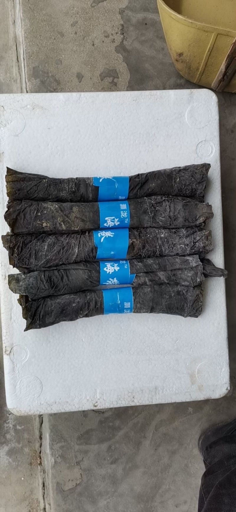 新品海带霞浦海带卷海带片干海带无沙内海海带可代发贴牌