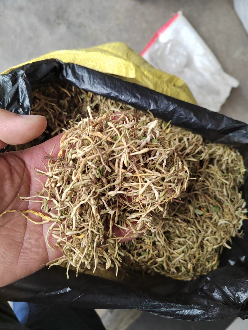 金银花