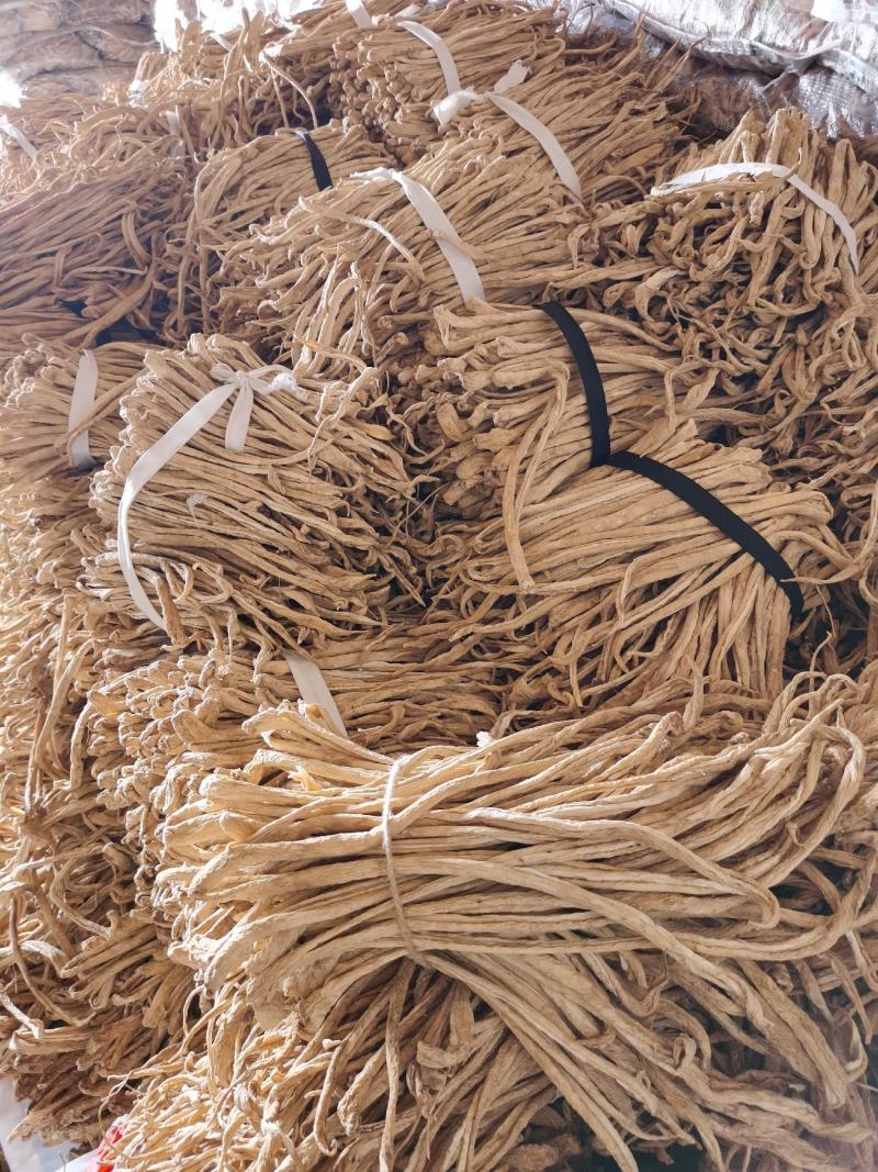 吉林大根条