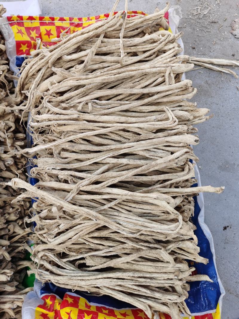 吉林大根条