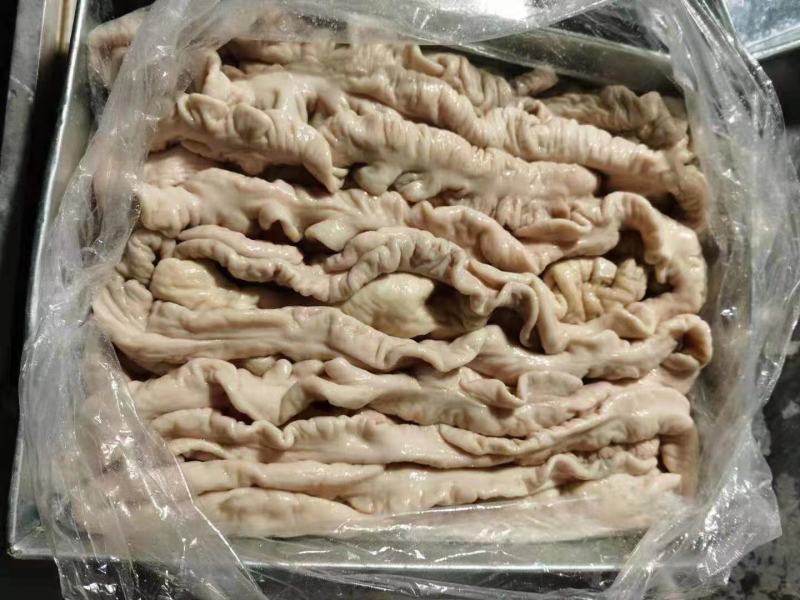 猪大肠冷冻免洗大肠抄水肠火爆干煸批发