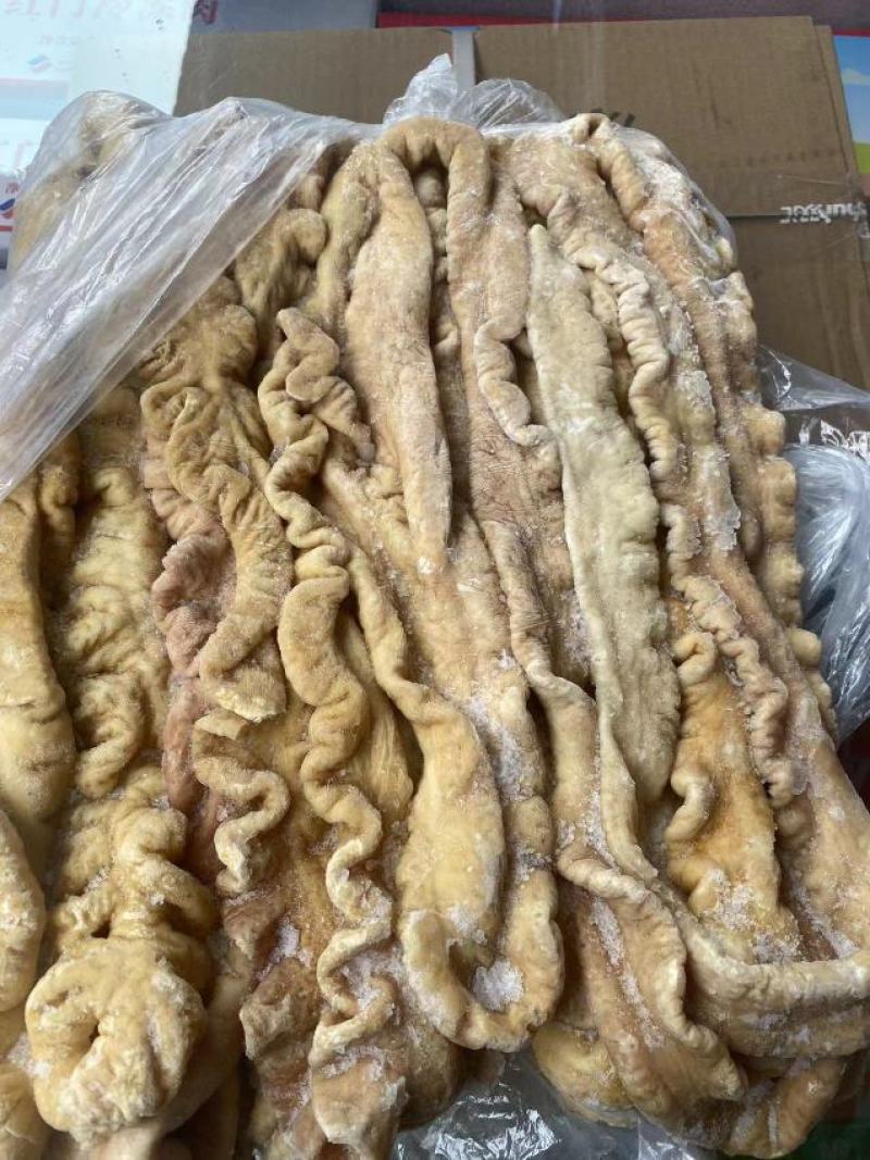 猪大肠冷冻免洗大肠抄水肠火爆干煸批发