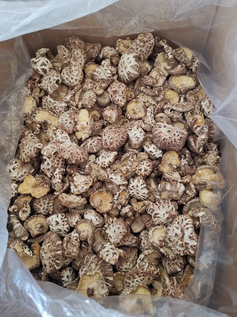 椴木白花菇一手香菇干货一箱40斤批发包邮