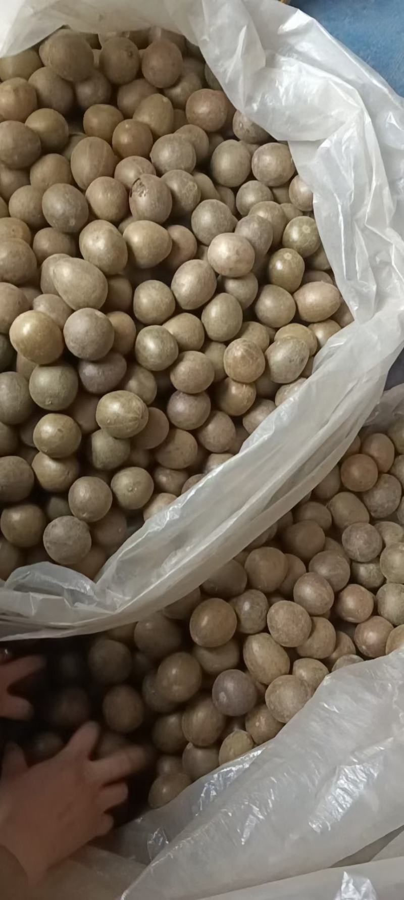 罗汉果各种规格大量供应，价格稳定，长期供货