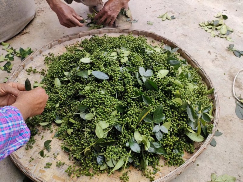 刚上市的，新鲜花椒