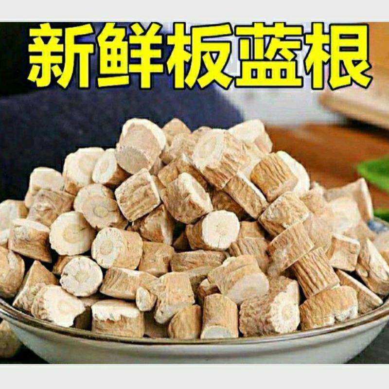 板蓝根道地中药材板蓝根切片自然晾干泡水泡茶健康养生