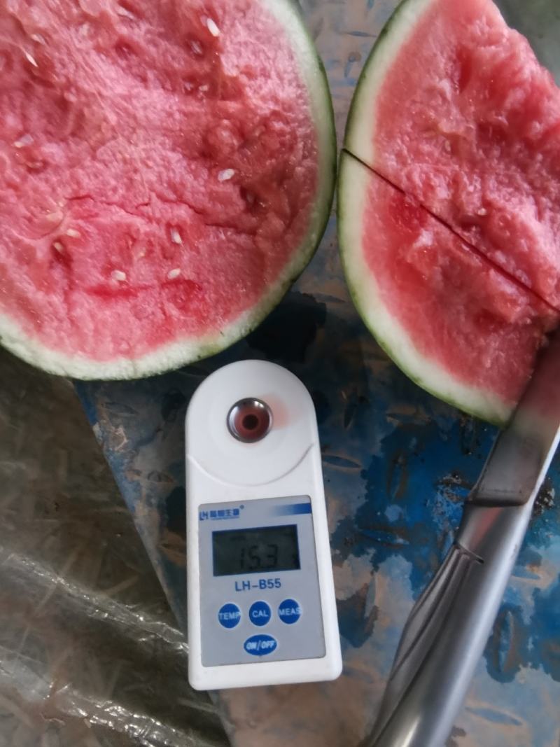 蜜童无籽西瓜开园了，货源充足，质量超好，价格便宜