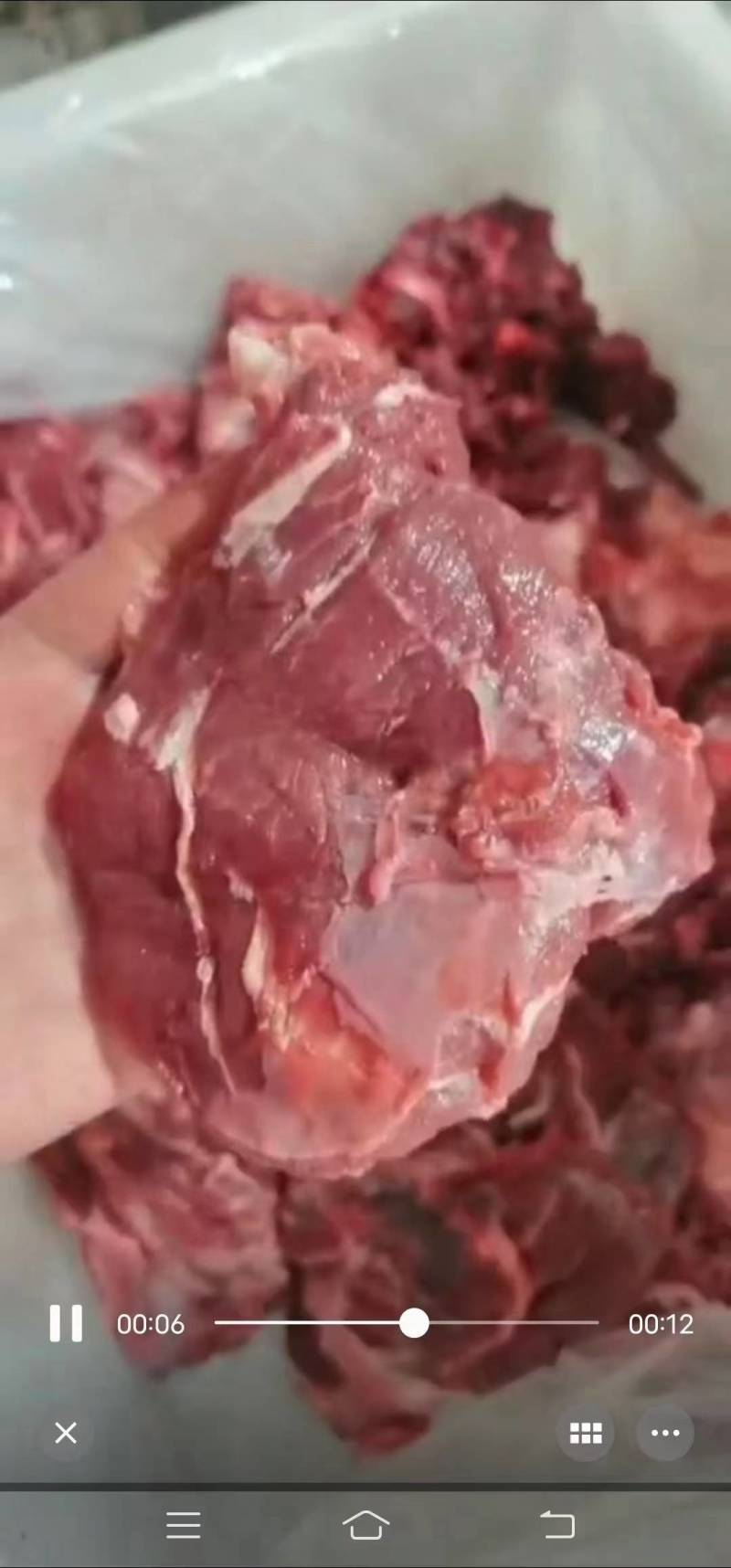 小脸肉