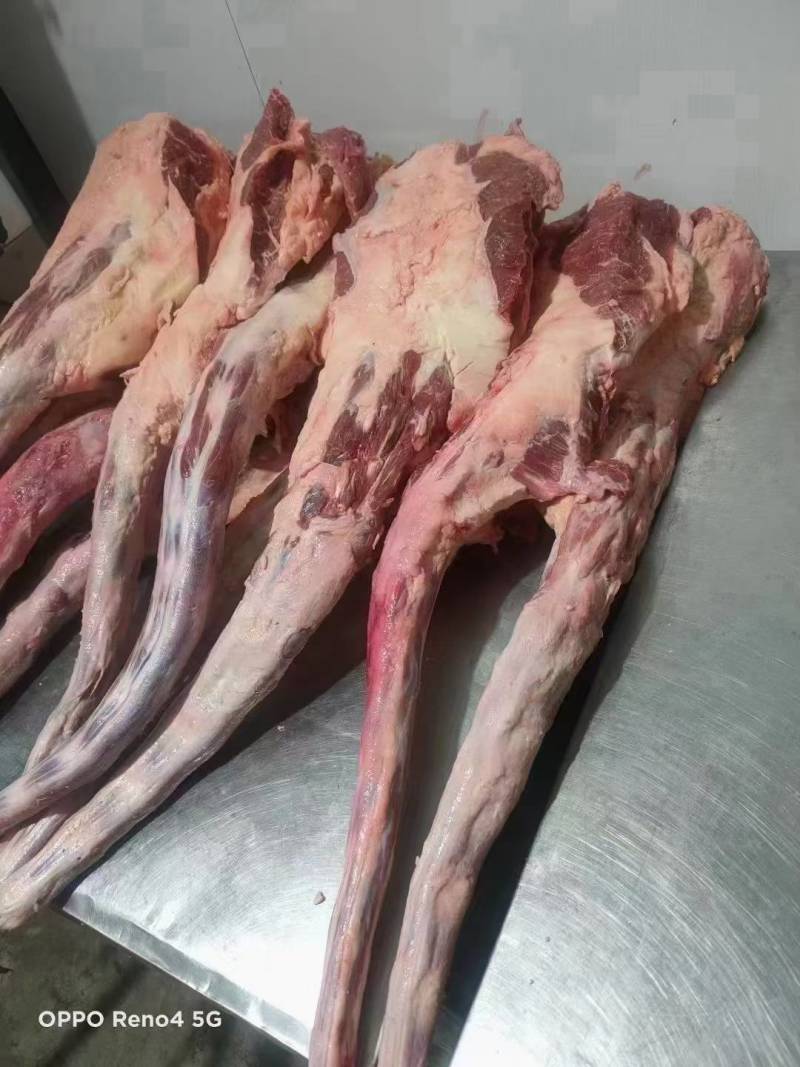 牛尾牛蹄牛罗肌肉牛脖骨牛脊骨牛胸骨