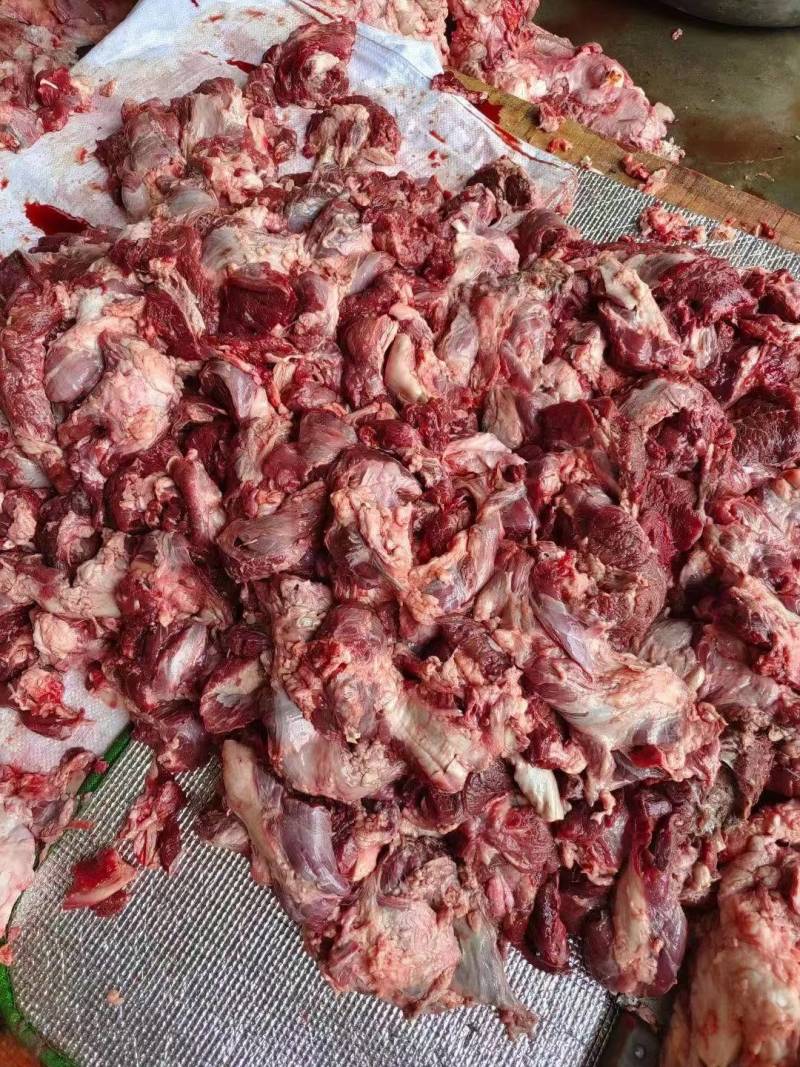牛碎肉牛罗肌肉牛头宴牛头腩牛筋头巴脑牛筋皮