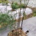 药材种植高质量全新抗老化质保2到三年防草地膜