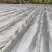 药材种植高质量全新抗老化质保2到三年防草地膜
