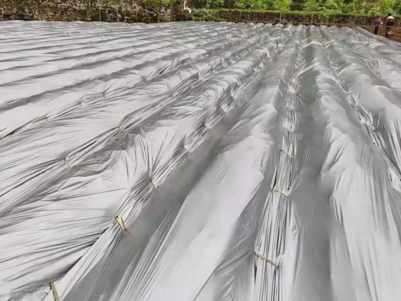药材种植高质量全新抗老化质保2到三年防草地膜