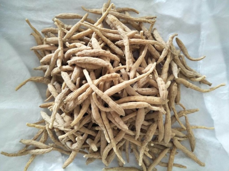 贵州太子参中药材孩儿参规格齐全品质好价格优惠。