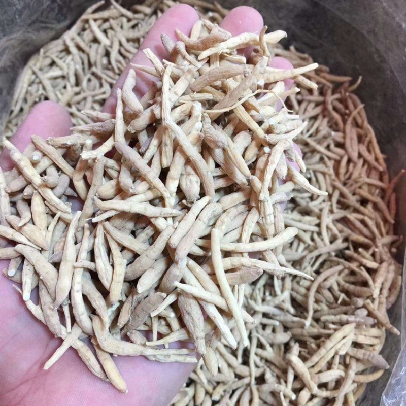 贵州太子参中药材孩儿参规格齐全品质好价格优惠。