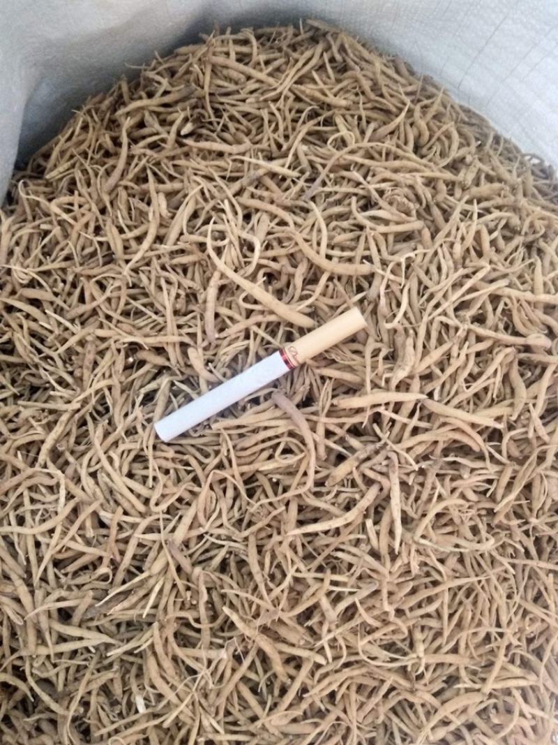 贵州太子参中药材孩儿参规格齐全品质好价格优惠。