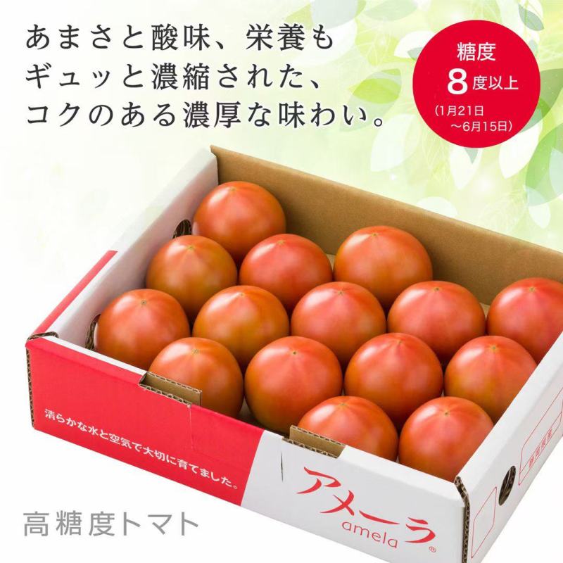 口感西红柿