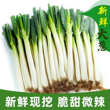 2022大葱当季新鲜农家自种当季铁杆大葱甜葱特级