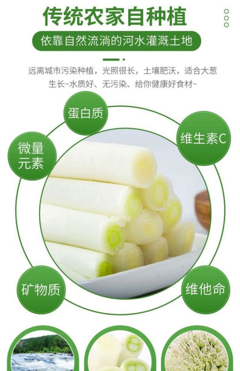 2022大葱当季新鲜农家自种当季铁杆大葱甜葱特级