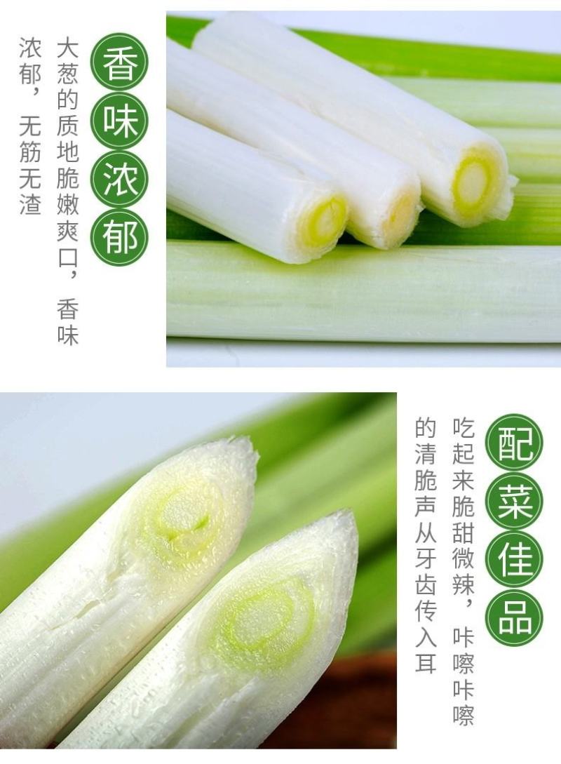 2022大葱当季新鲜农家自种当季铁杆大葱甜葱特级