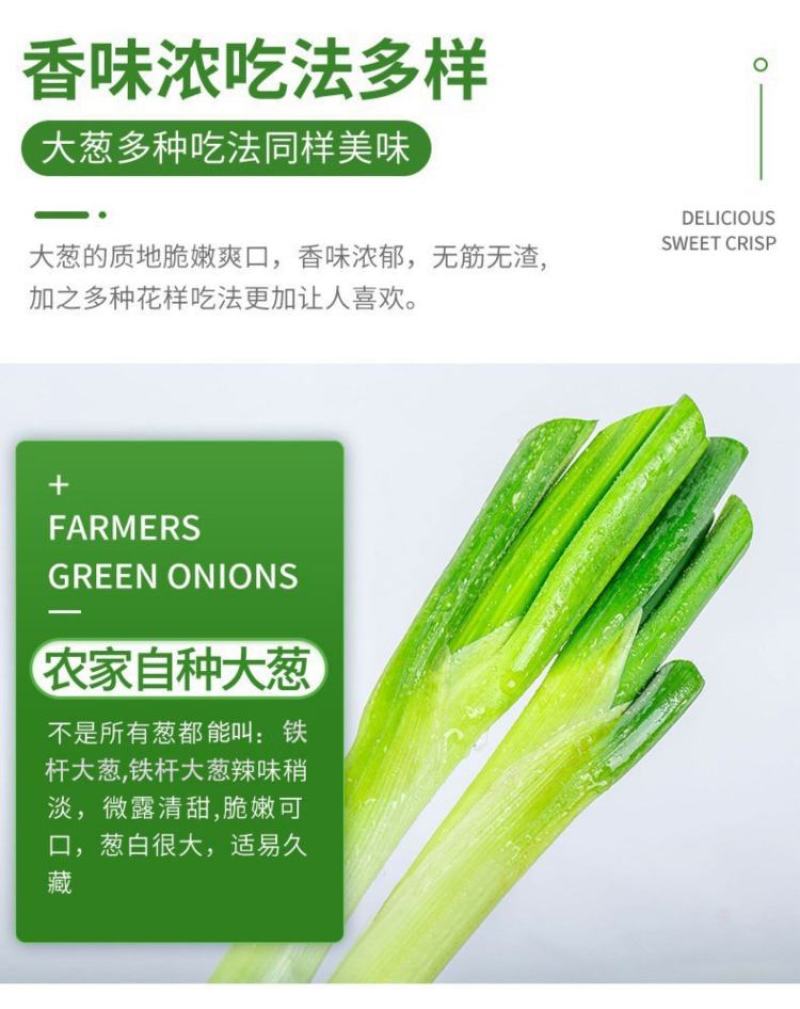 2022大葱当季新鲜农家自种当季铁杆大葱甜葱特级