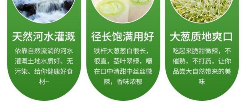 2022大葱当季新鲜农家自种当季铁杆大葱甜葱特级