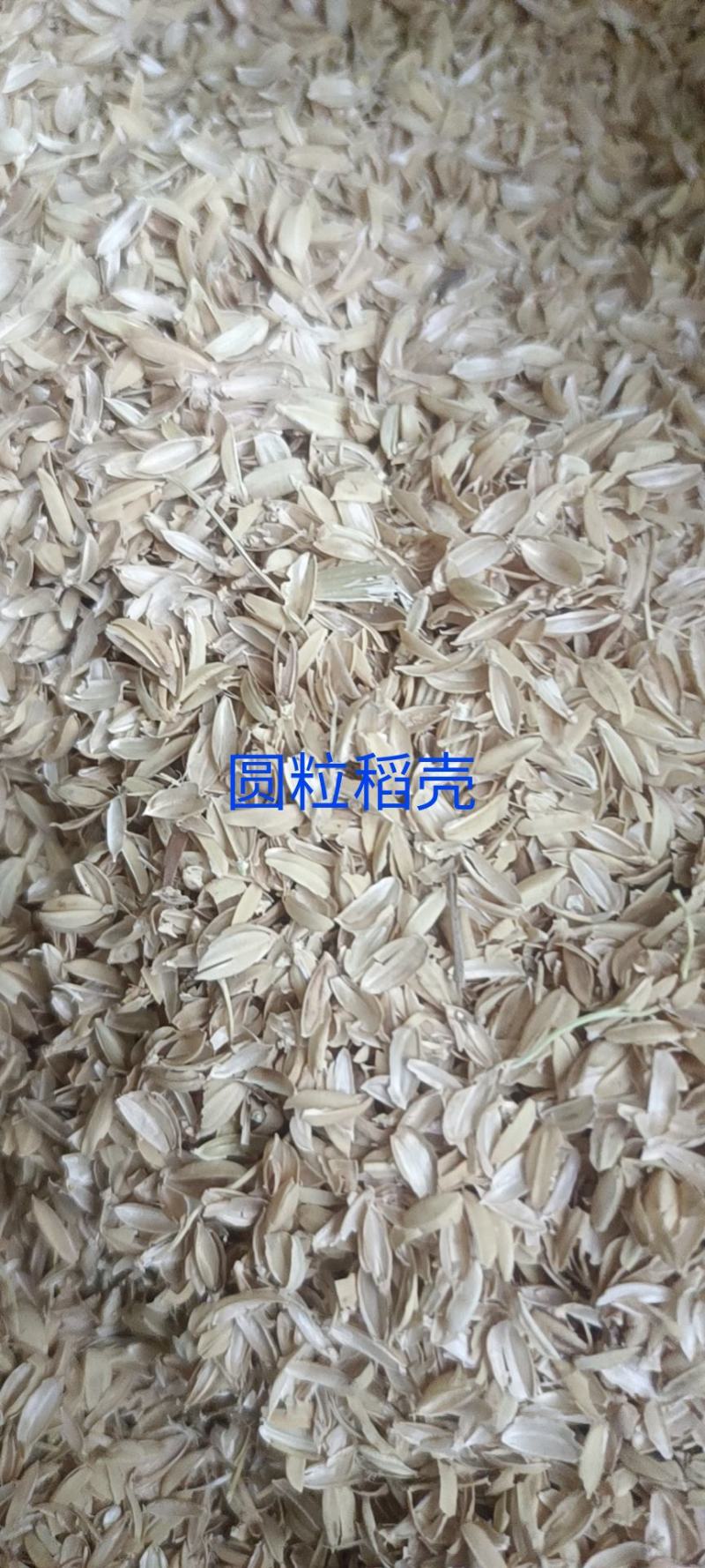 稻壳散装稻壳，新鲜稻壳工厂直供