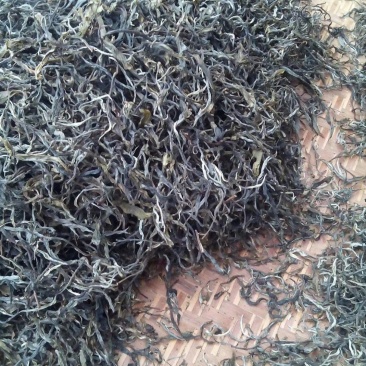 中树茶