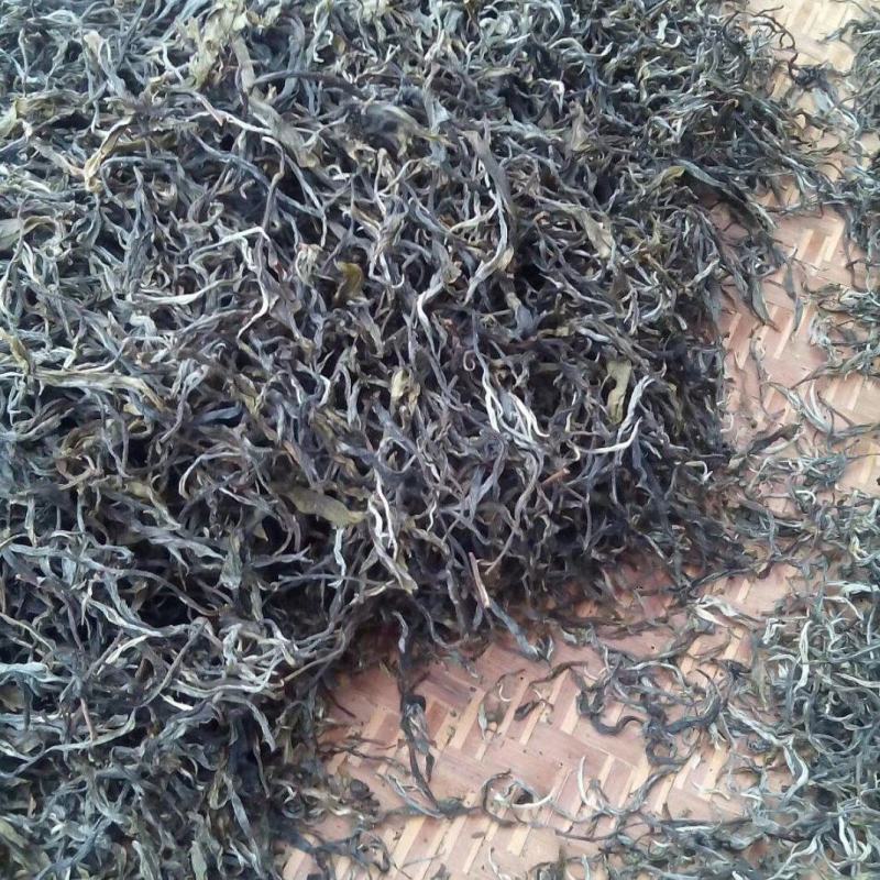 中树茶