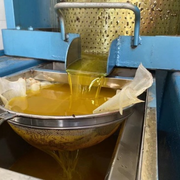 山茶油赣南客家山茶籽油一级物理压榨农家山茶油