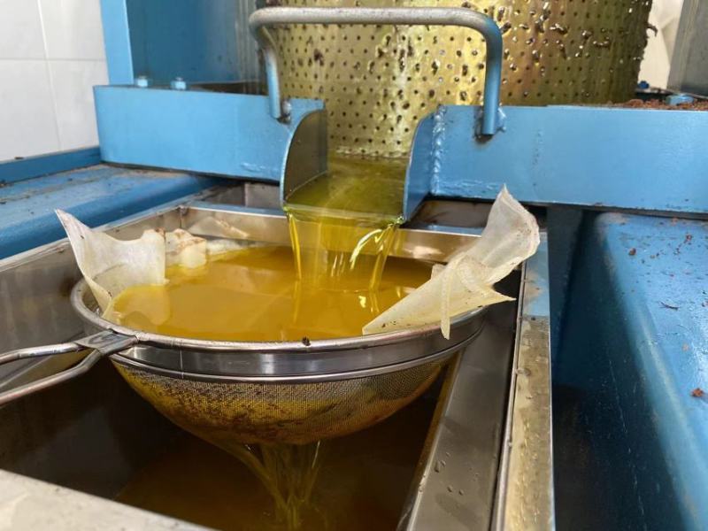 山茶油赣南客家山茶籽油一级物理压榨农家山茶油