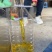 山茶油赣南客家山茶籽油一级物理压榨农家山茶油