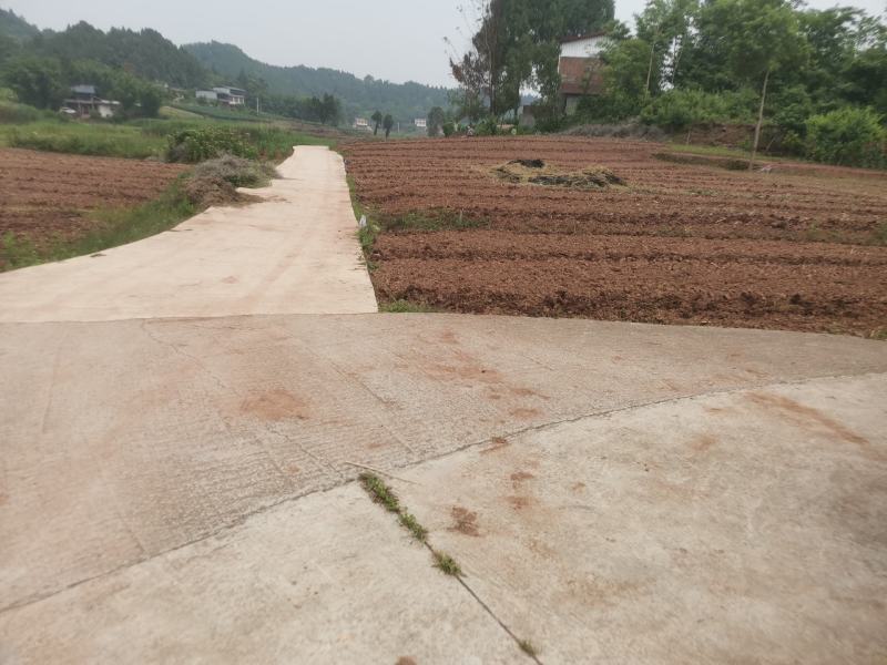 300亩熟土承包权流转