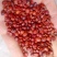 酸枣仁，含量达标酸枣仁，国产酸枣仁，炒酸枣仁，中药材批发