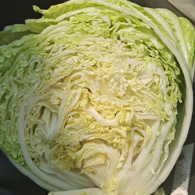 陆地白菜大量上市，新鲜无芯儿嫩白菜，基地直供量大