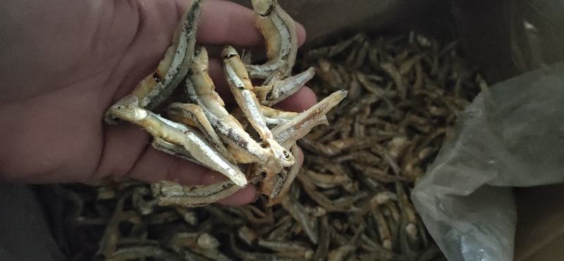 天然虾皮；