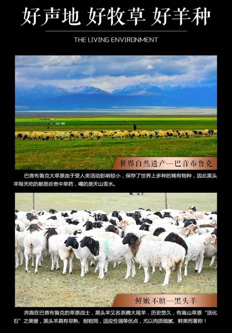 正宗新疆巴音布鲁克黑头羊羊肉串，肉质鲜嫩，口超感好