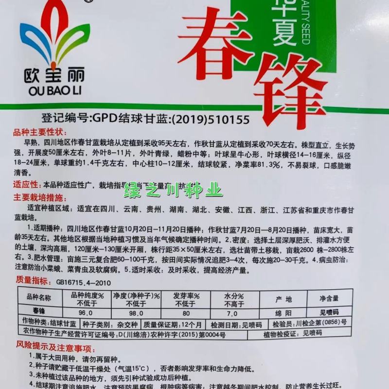 早熟春锋牛心甘蓝种子口感甜脆春秋牛心包菜种子莲花白种子