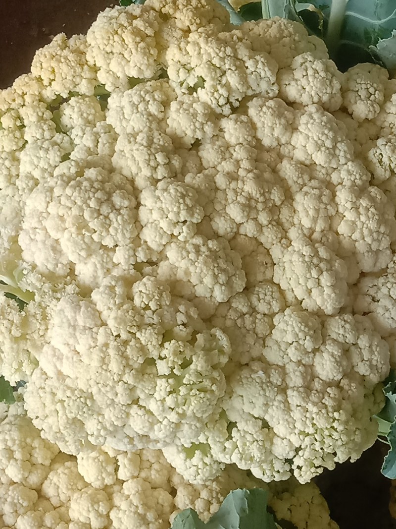 优质菜花