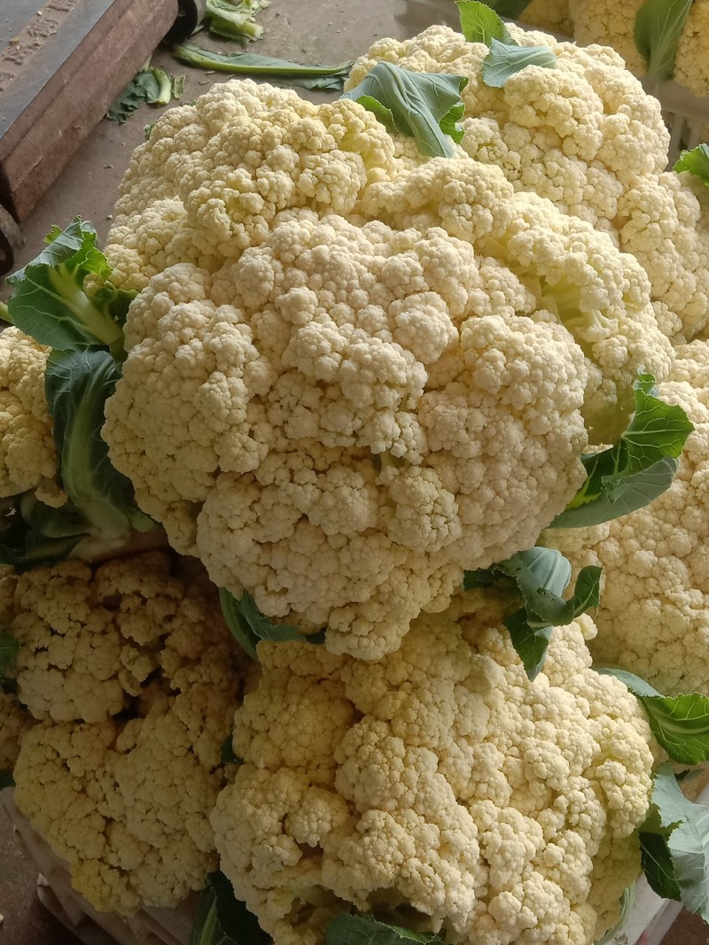 优质菜花