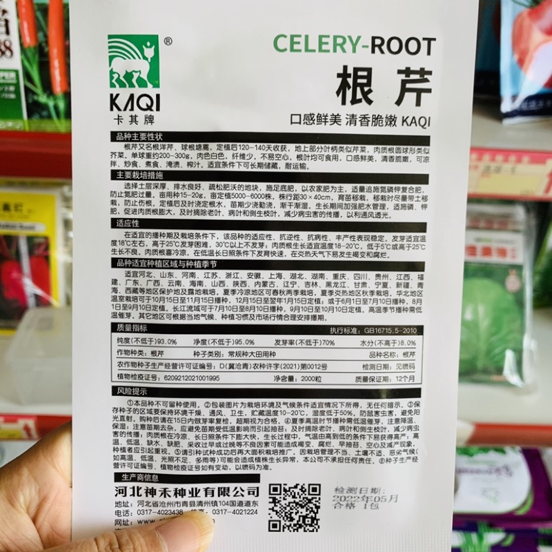 香味浓根芹种子根洋芹种子清香脆嫩春秋两季栽培球根塘蒿