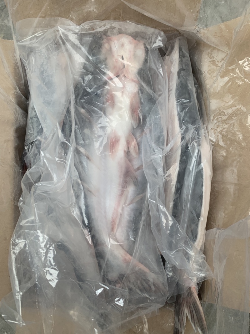 开背巴沙鱼，干冰，日期新鲜，品质好！价格美丽！