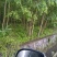 绿意全方位，小匠林距离。