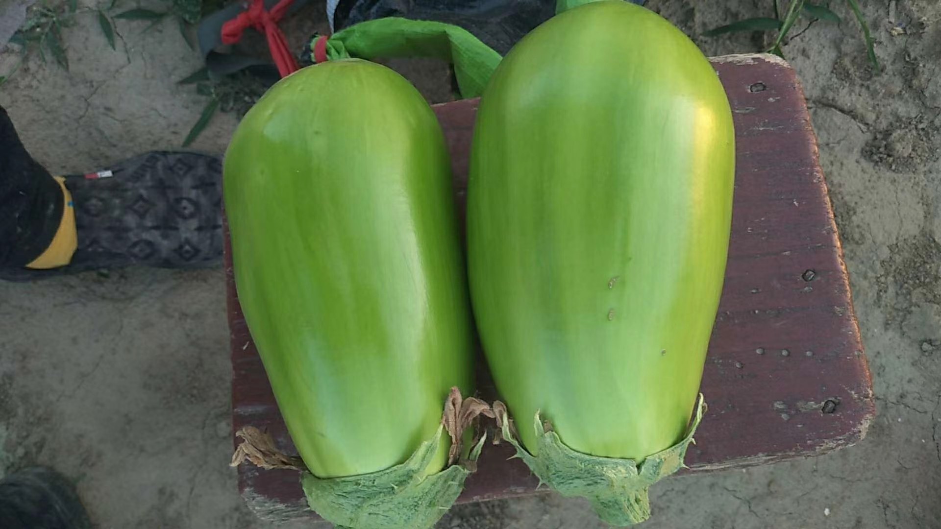青茄与配菜摆盘图