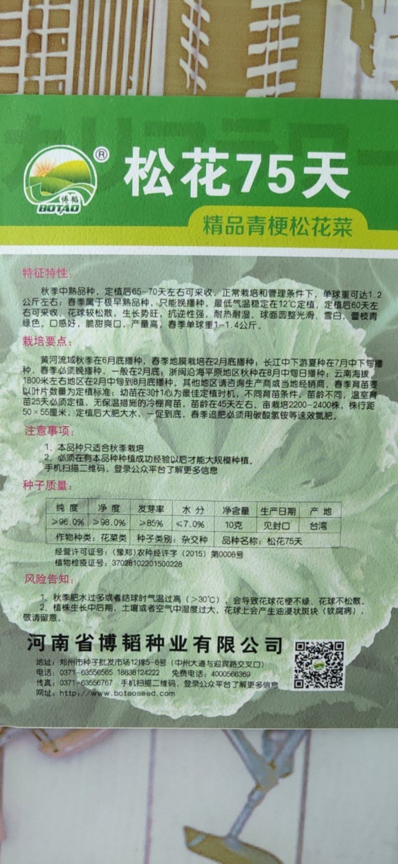 松花75菜花种子花球较松散抗逆性强耐热耐湿春秋均可种植雪