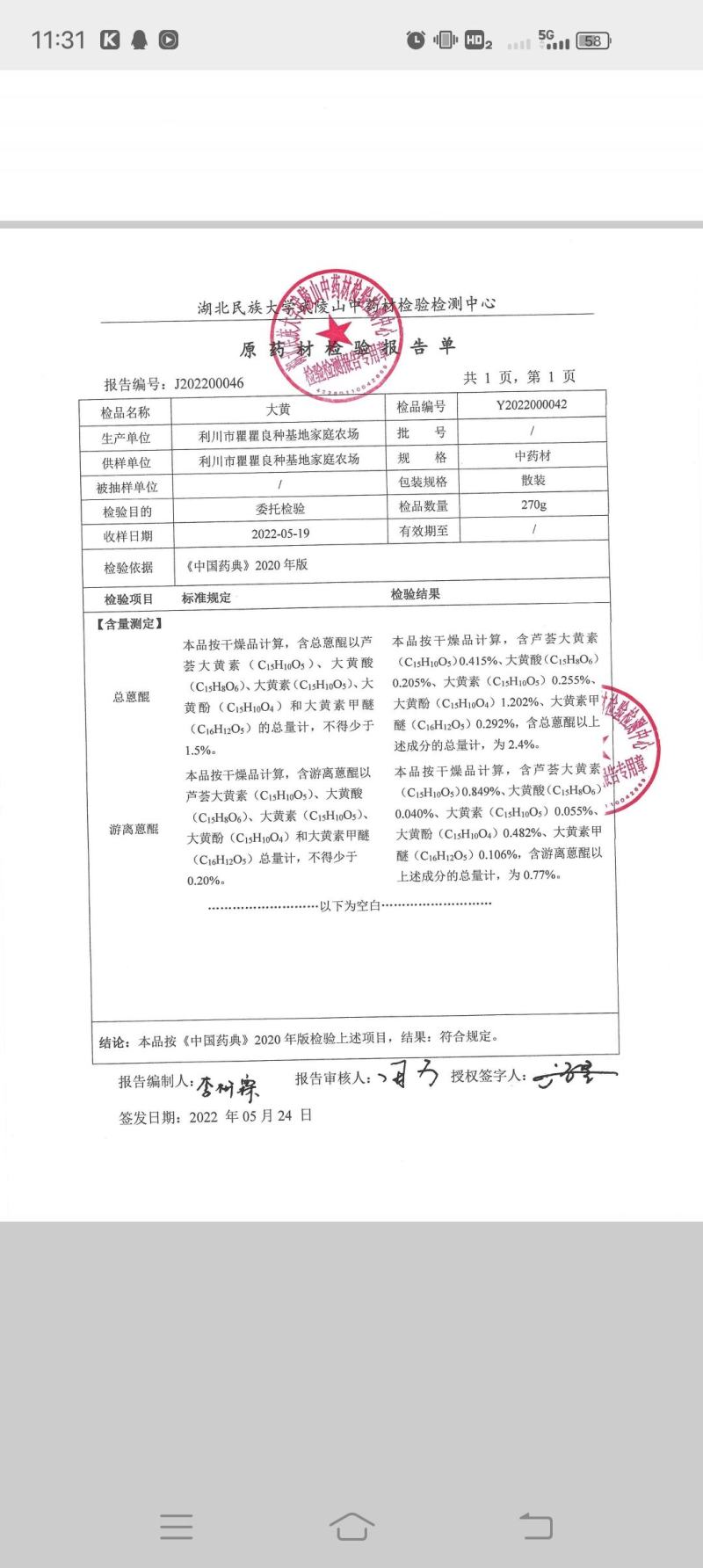 马蹄大黄产地直销含量达标货源充足量大优惠